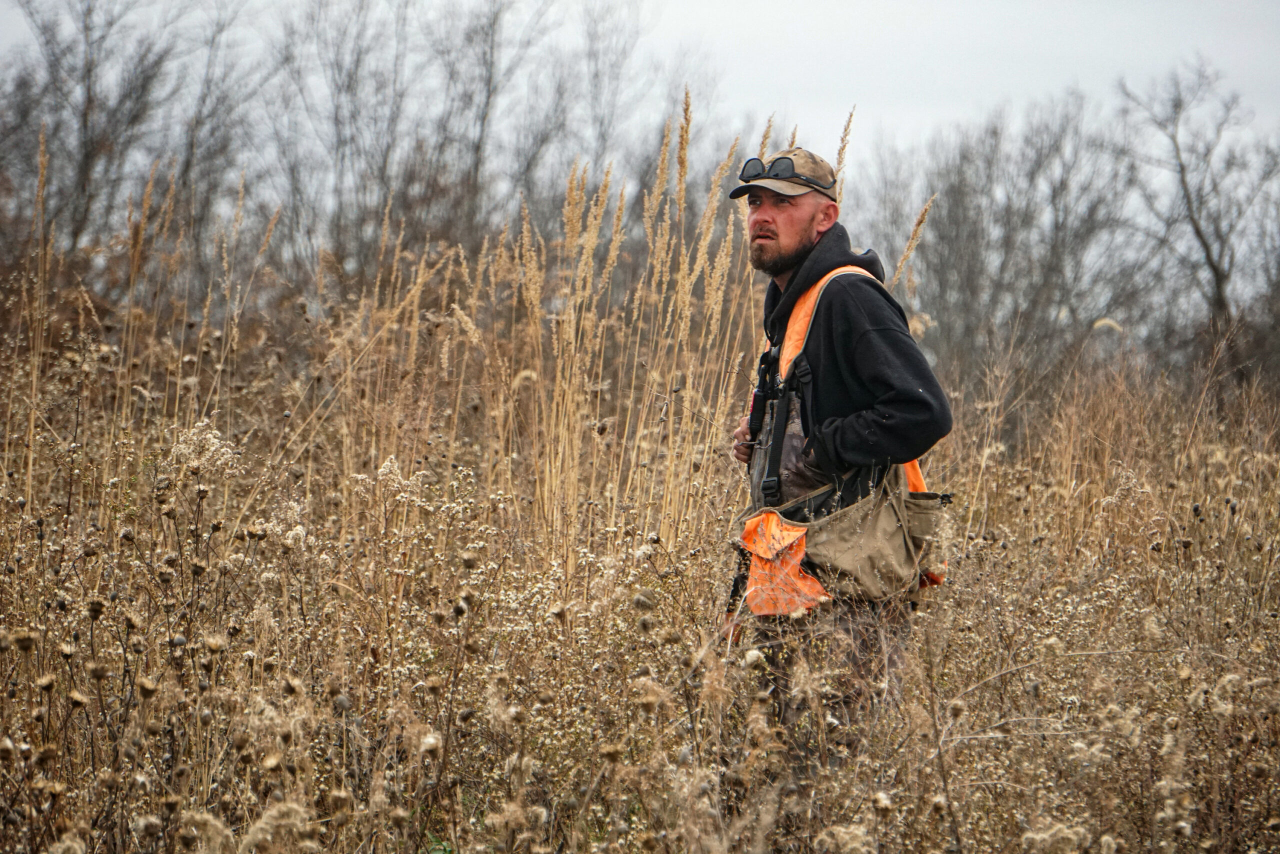 A head trainer walking through an upland field.