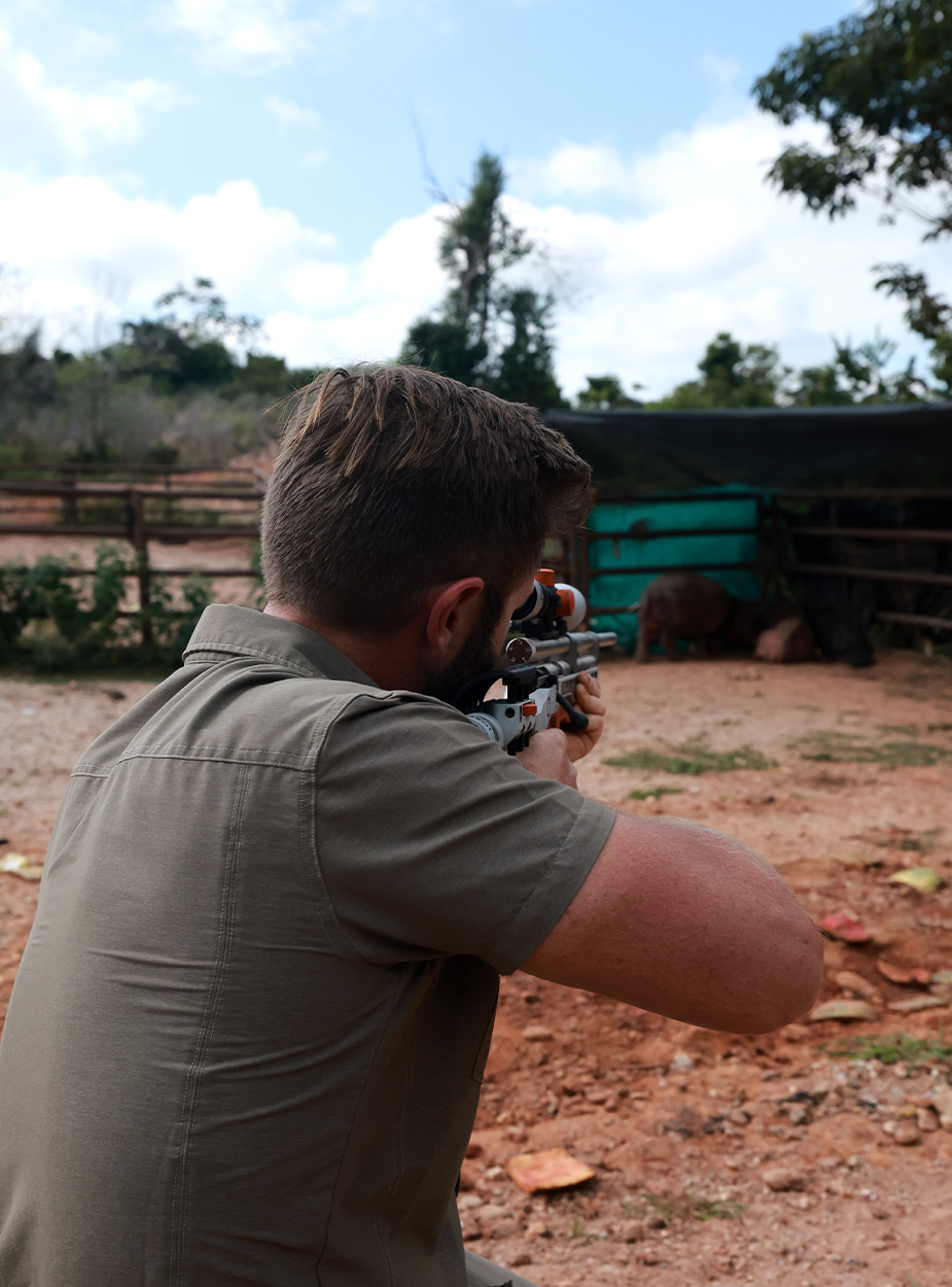 A wildlife biologist prepares to dart a juvenile hippo inside an enclosure.