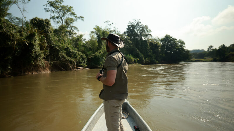 Hundreds of ‘Cocaine Hippos’ Are Terrorizing Colombia. This Biologist Has Agreed to Help Track Them Down