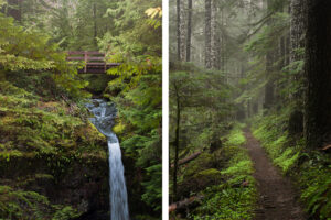 Gifford Pinchot National Forest