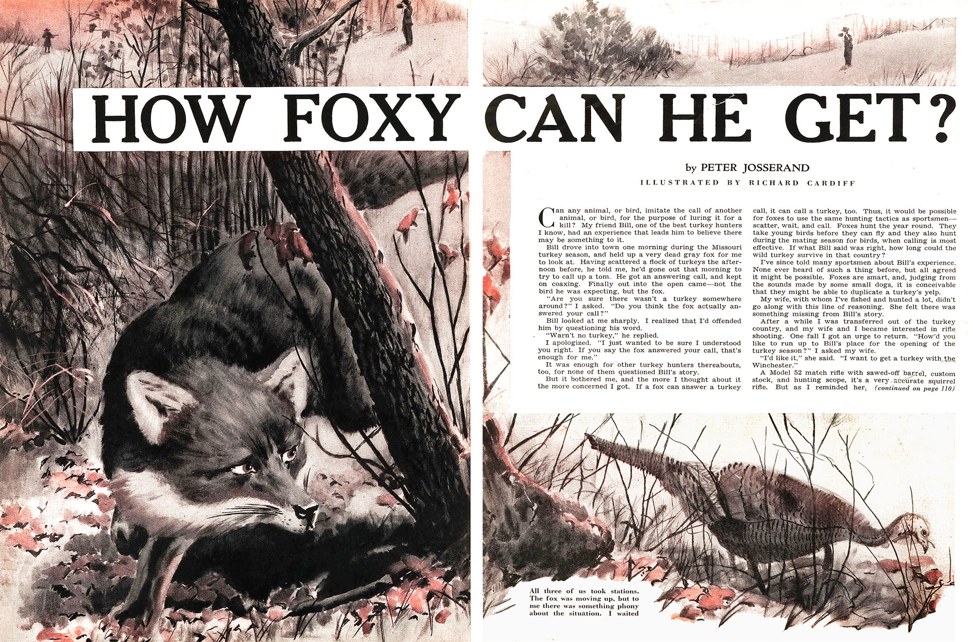 A two-page spread of a story in Outdoor Life called "How Foxy Can He Get?"