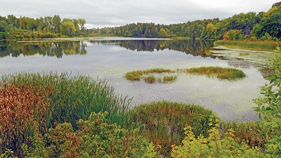 New York’s Saranac River Coalition aims to help trout, salmon on Lake Champlain tributary – Outdoor News