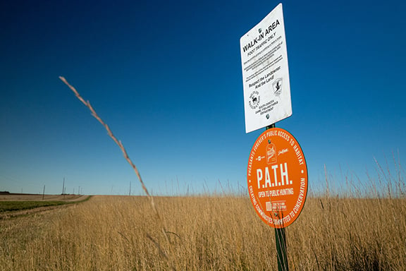 Pheasants Forever/Quail Forever announces expansion of Public Access to Habitat program – Outdoor News