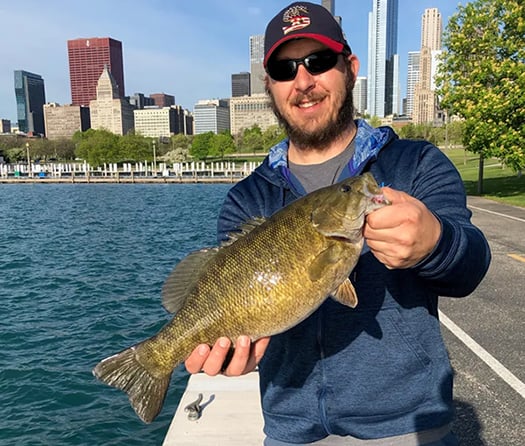 Sampling shows bass continue to thrive in Illinois harbors – Outdoor News