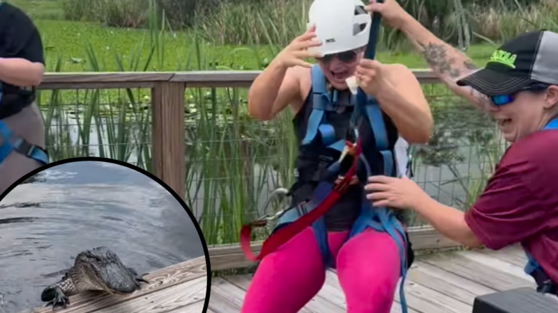 Swamp Zipliners Shocked When Gator Pops out of Water (Video)