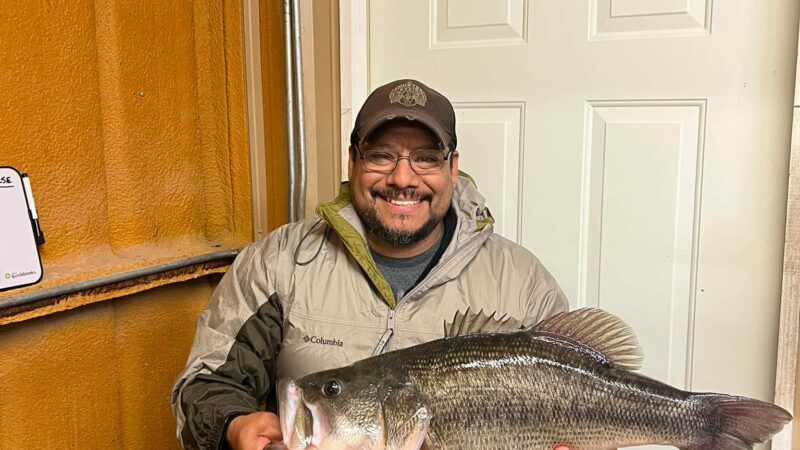 Texas Crappie Angler Hooks Same Bass from the Same Dock 2 Years Apart