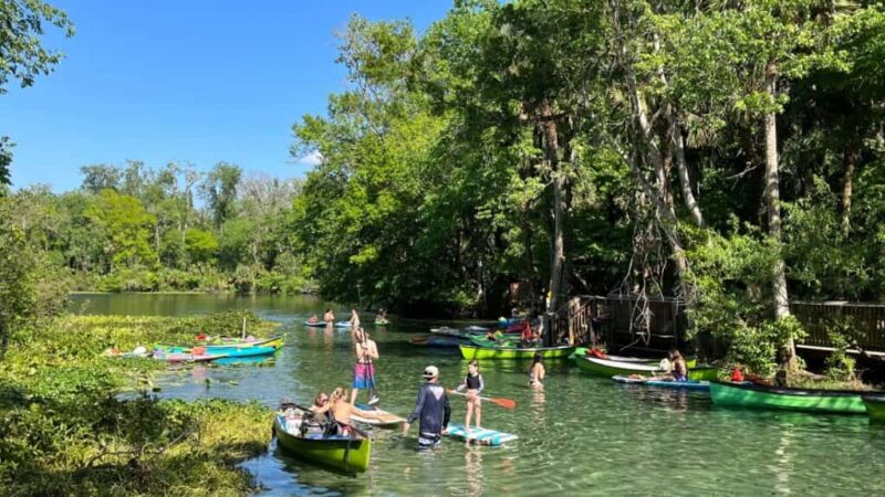 The 7 Best Walt Disney World RV Parks