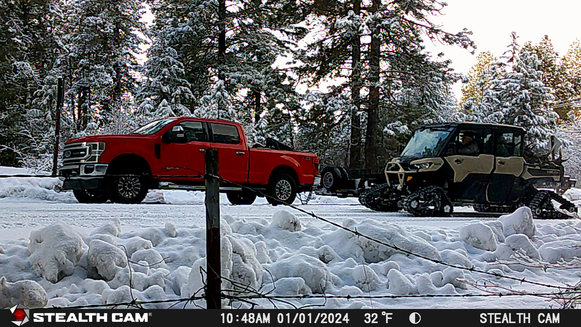 Hunters in UTV prepare to load a bull elk into the bed of a truck.