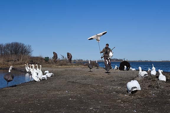 Western Minnesota offers enough spring snow geese for the DIY hunter – Outdoor News