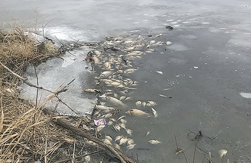 What is lake ice made out of? There’s more to it than you may realize – Outdoor News