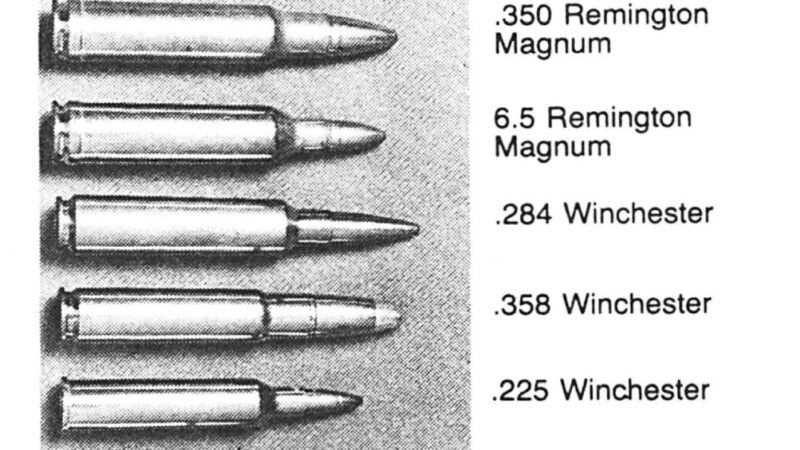 Why Some Rifle Cartridges Fail