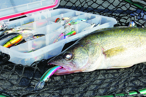 Steve Carney: With spring fishing, timing is everything – Outdoor News