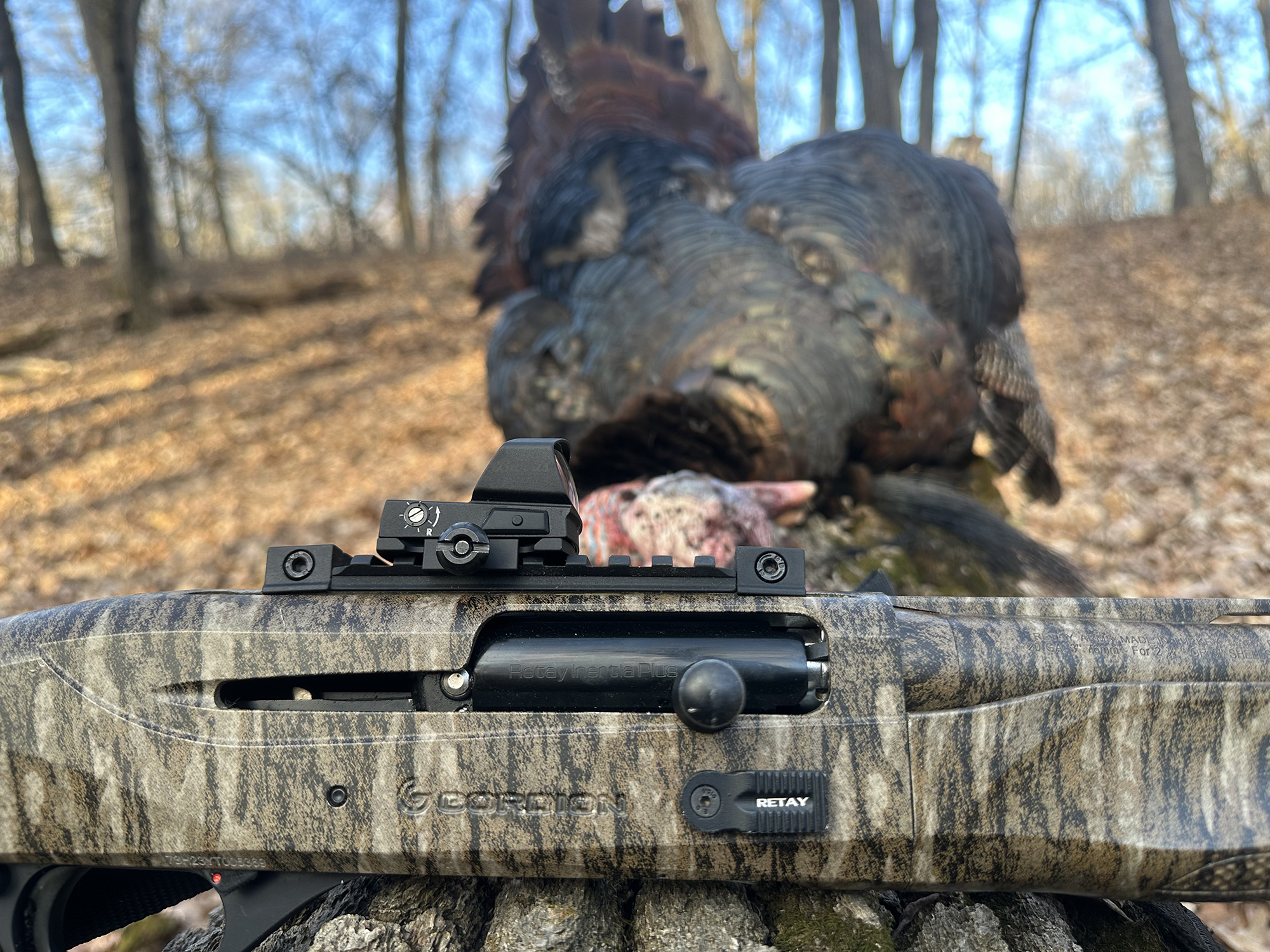 burris fastfire 4 on a turkey hunt