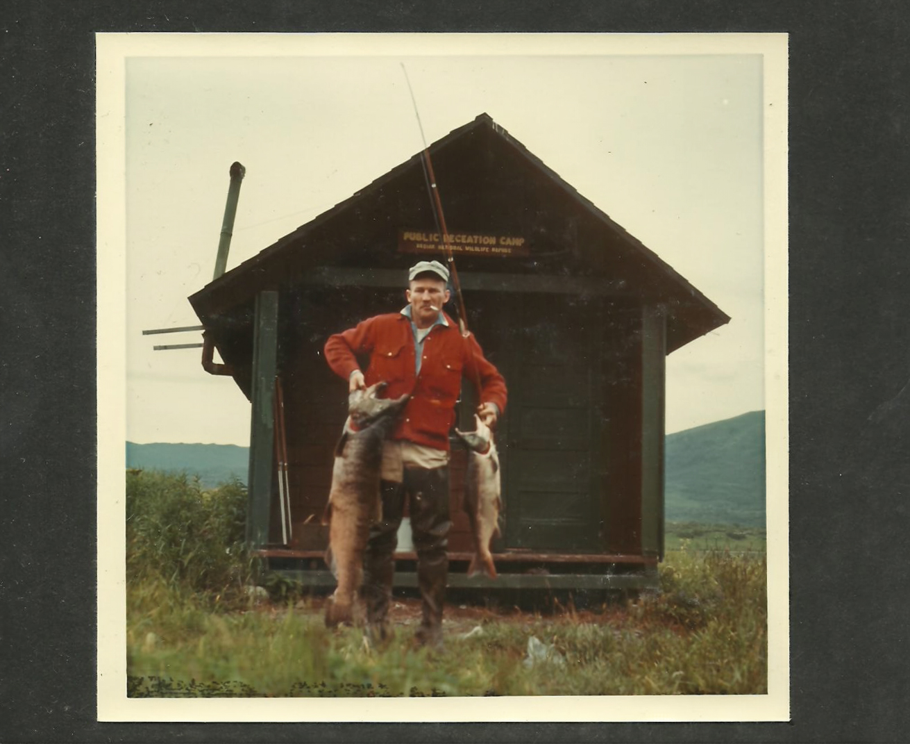 A vintage color photo of a USFWS employee holding up a king salmon and a red salmon.