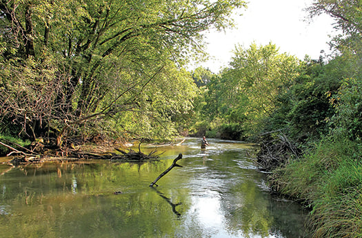 42 years later, these trout habitat ‘tools’ still at work in Wisconsin – Outdoor News