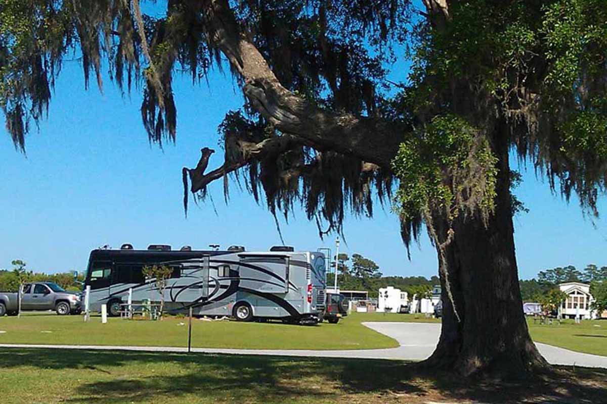 RV parked near a willow tree.