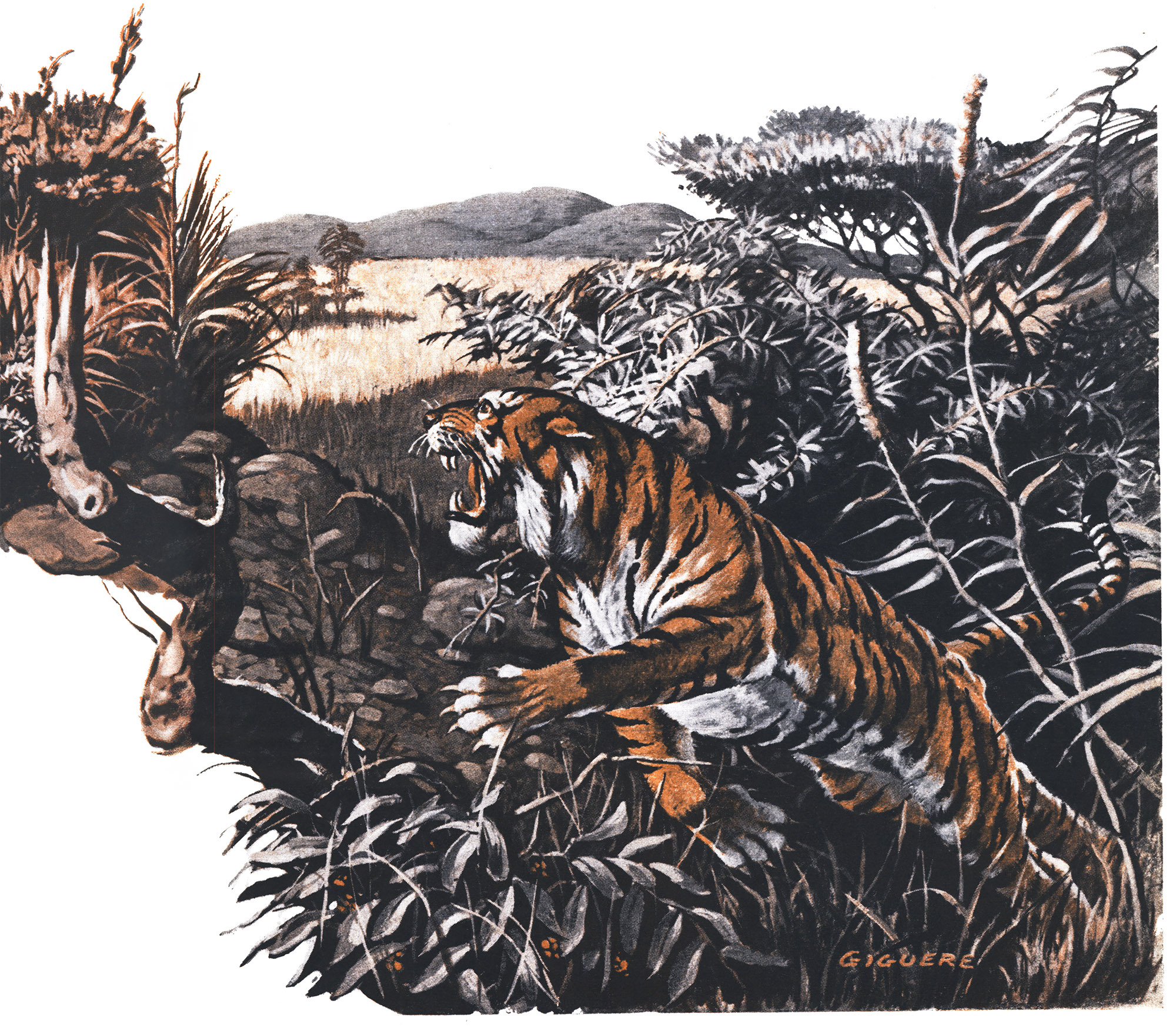 An illustration of a tiger