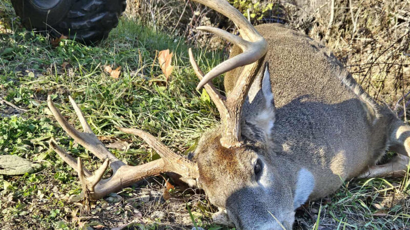 A Wisconsin Bowhunter Killed the Biggest Buck He’d Ever Seen. Then He Gave It to Another Hunter