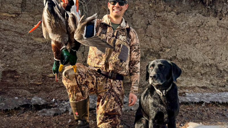 Best Duck Calls for Beginners, Tested and Reviewed