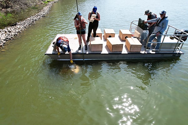 Channel catfish boxes placed in three Illinois lakes to assist spawning – Outdoor News