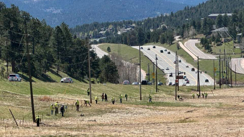 Coloradans Just Tore Down a Bunch of Barbed Wire Fencing to Help Wild Game