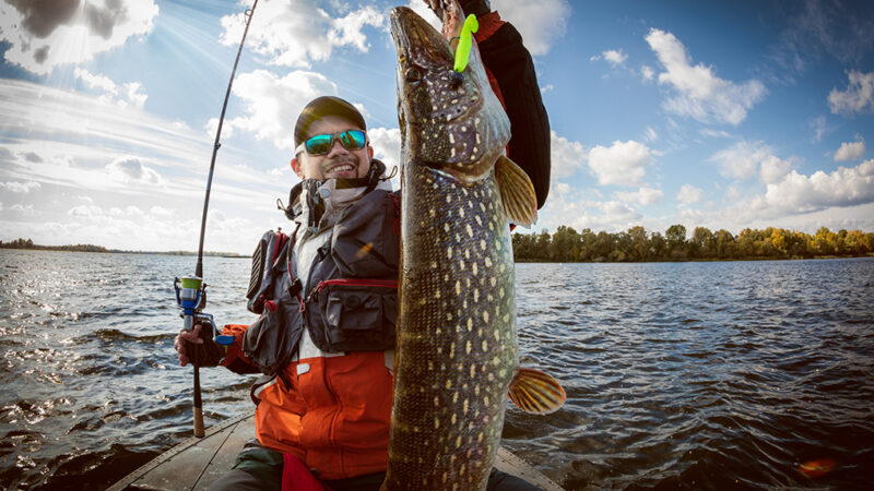 Commentary: Has the Michigan Wildlife Council simply lost its way? – Outdoor News