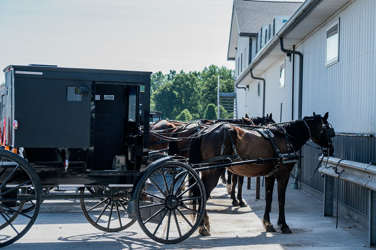 Amish buggies.