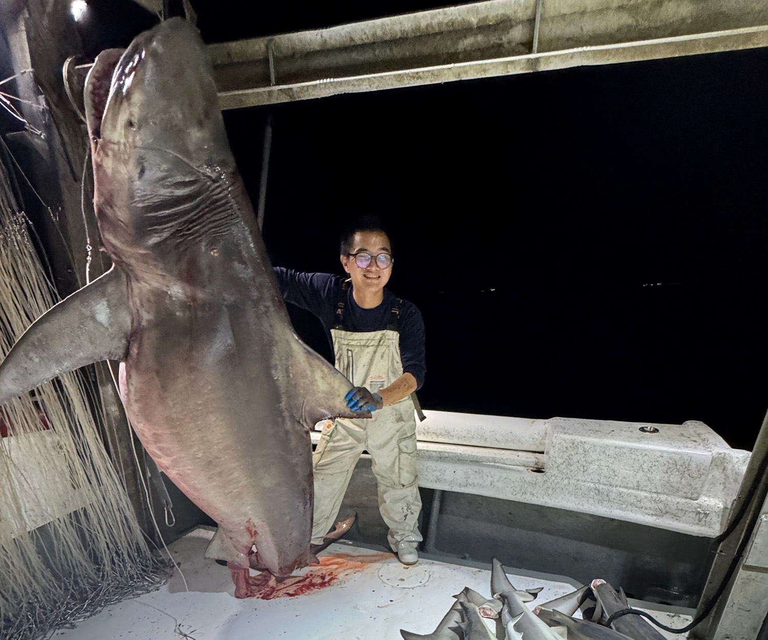 A crew member next to a huge bull shark.