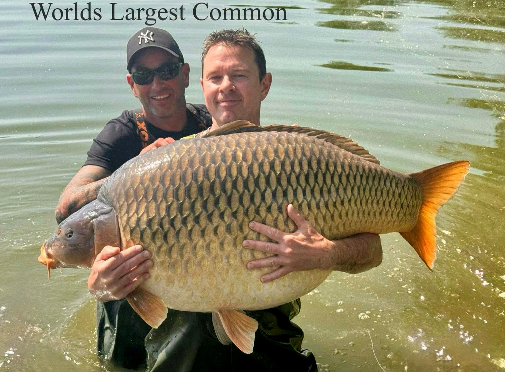 Two UK anglers with a giant carp from Hungary.