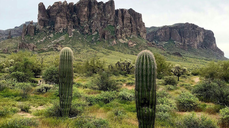 Grand Camping at Arizonian RV Resort in Apache Junction