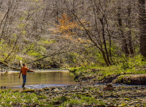 Gretchen Steele: Staying safe in southern Illinois’ great outdoors – Outdoor News
