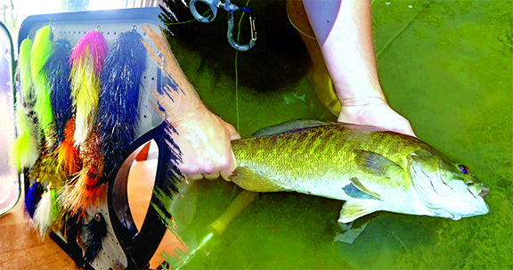 Here’s how to catch smallmouth on the fly in northeast Ohio tributary streams – Outdoor News