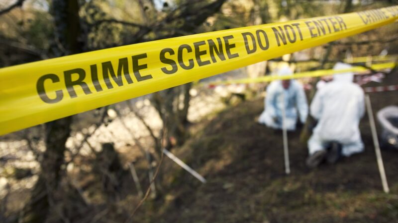 Hiker Discovers Homemade Explosive Devices Along Popular Trail