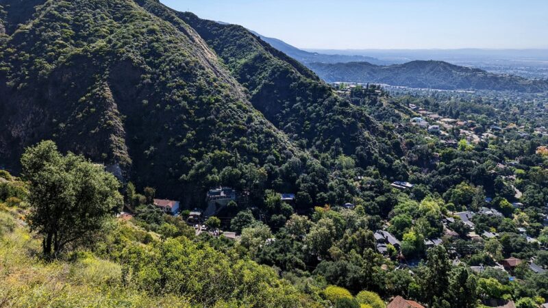 Hikers Spot Rare Herd of Animals Outside Los Angeles