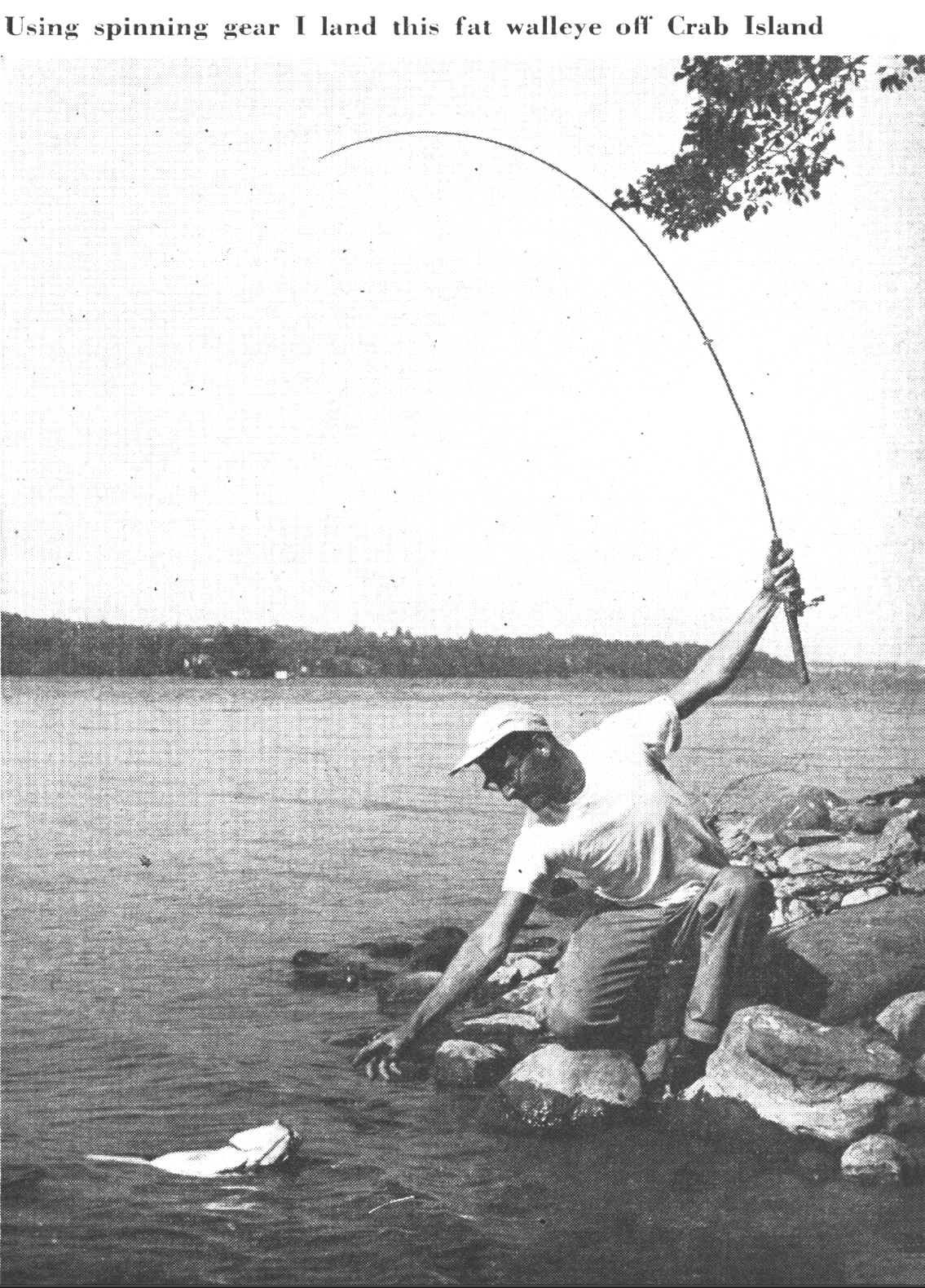 A fisherman lands a walleye from shore in an old black and white photo