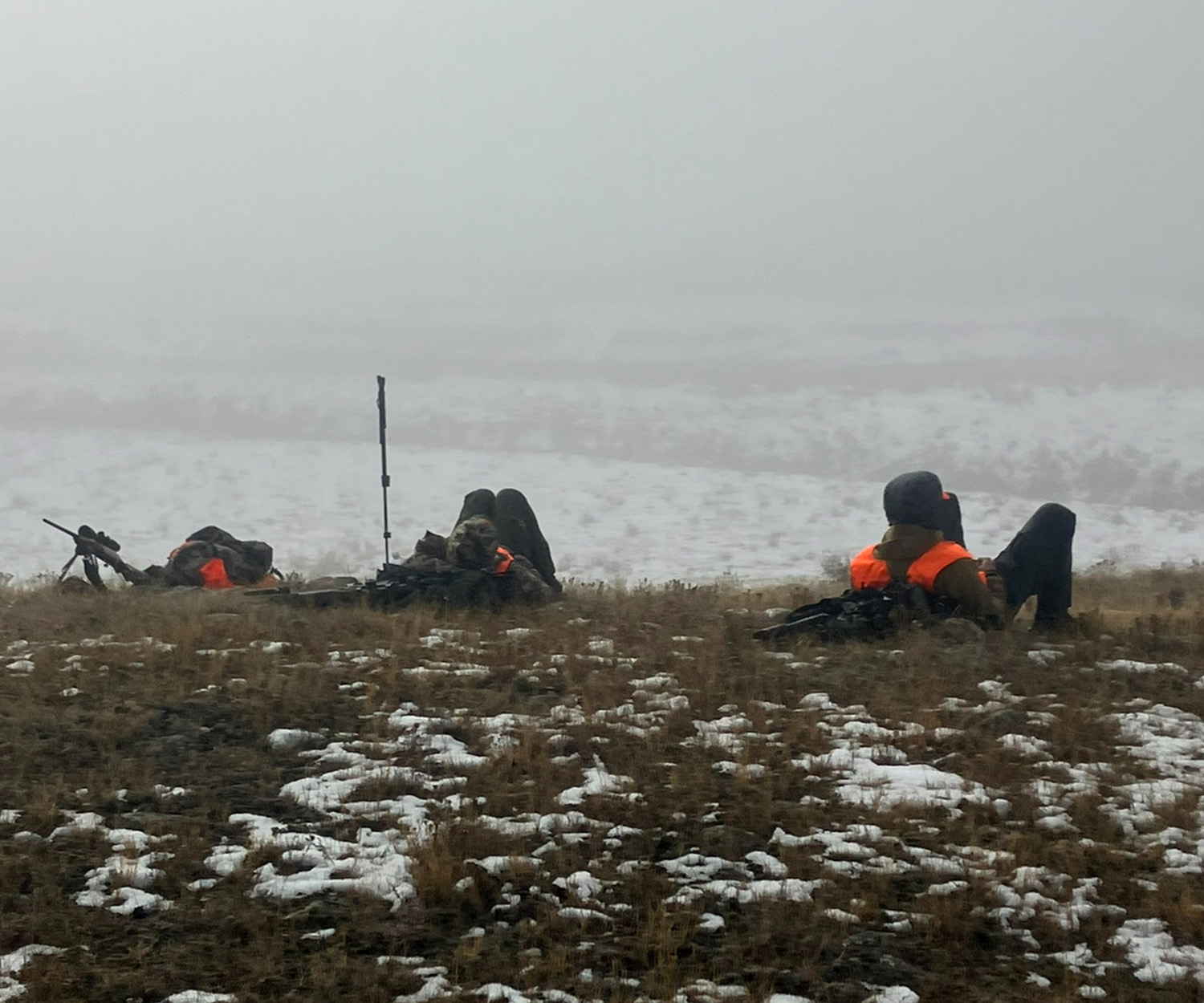 Three hunters glass for mule deer.