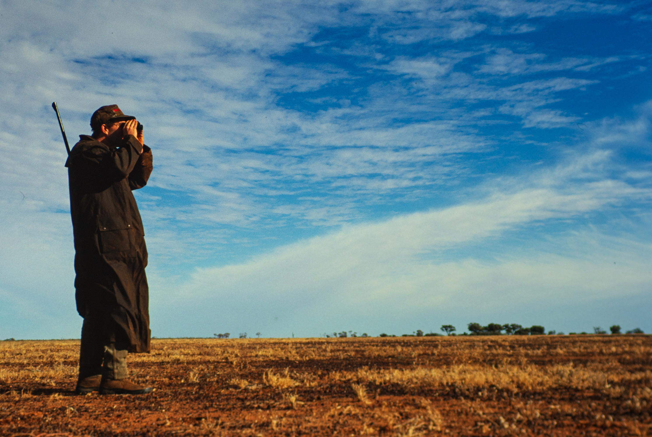 camel hunting