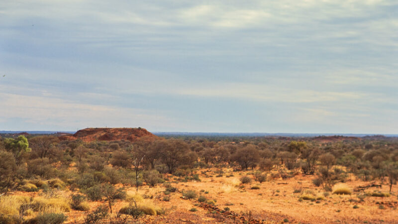 I Hunted Feral Camels In the Australian Outback