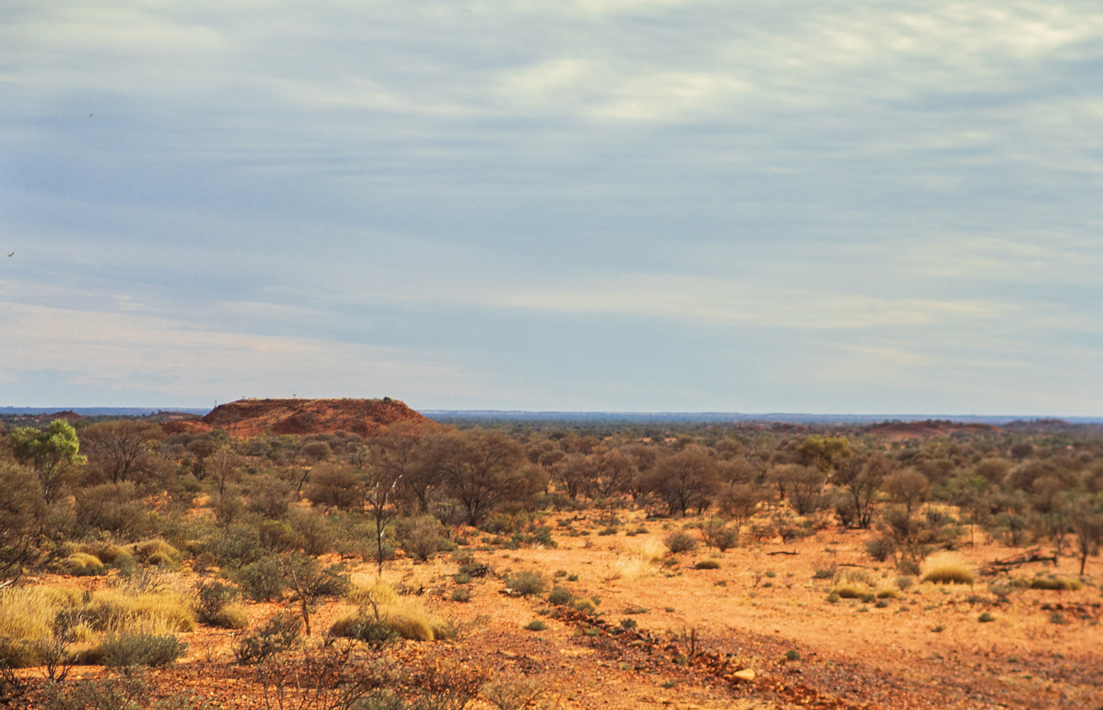 australian outback