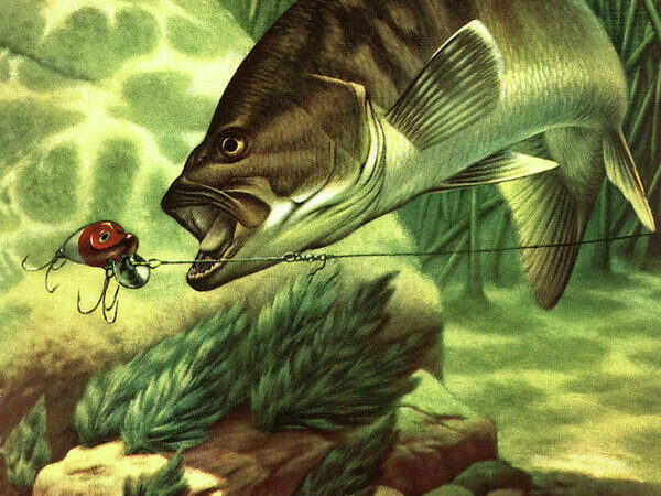 I Lost My Favorite Bass Lake to Development. A Stranger Helped Me Find It Again
