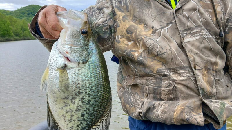 ‘I Panicked,’ Says West Virginia Fisherman Who Just Caught the New State Record Black Crappie