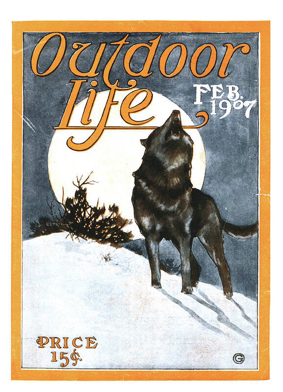 vintage Outdoor Life cover