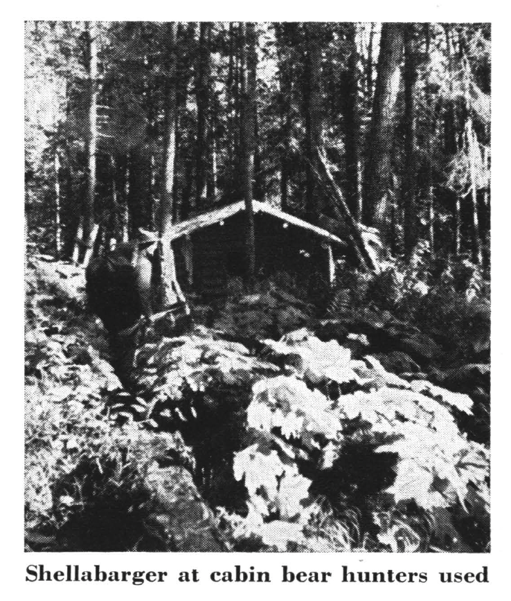 a black and white photo of a cabin