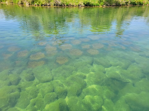 It’s time to target bluegills on lakes across Iowa – Outdoor News