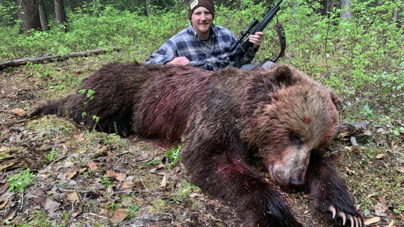 I’ve Become Recoil Shy in My Old Age. Is the 6.5 Creedmoor a Legit Elk Round?