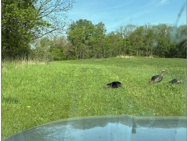 Jeremiah Haas: Trusting your gut is often the way to go in hunting – Outdoor News