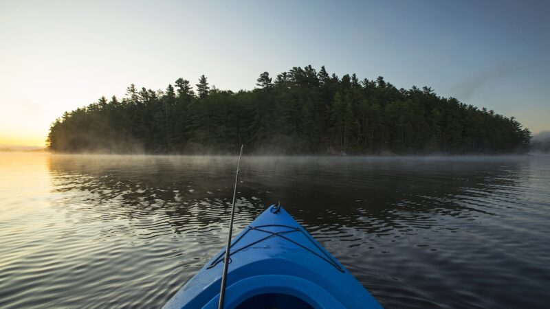Kayaker Encounters 13-17-Foot Mystery Fish in Shallow Water