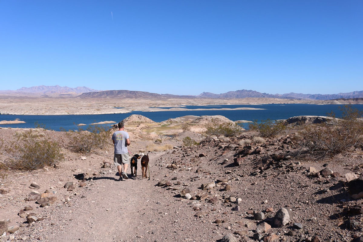 Man and dog walk on the desert shore of a lake.