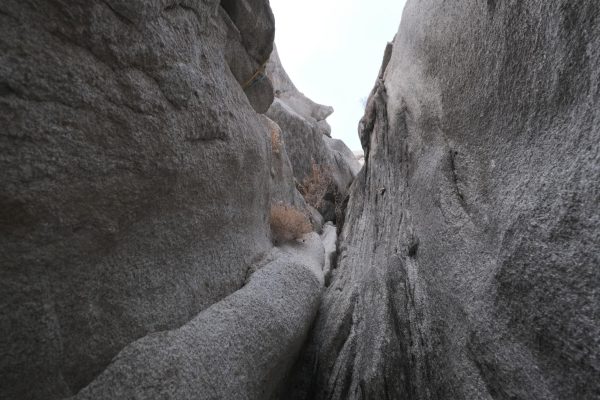 Little Cottonwood Rock: Alpenbock