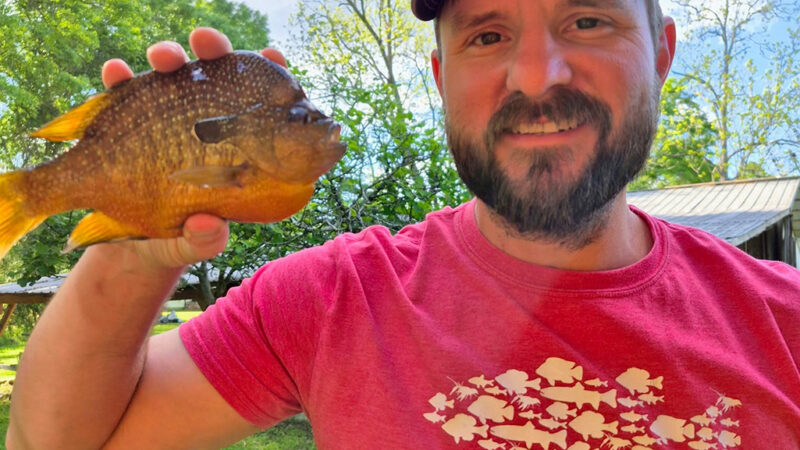 Lure Maker with Several State Records to His Credit Catches Two Record Sunfish on Back-to-Back Days
